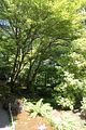 152 - Butchard Gardens  - IMG_1712
